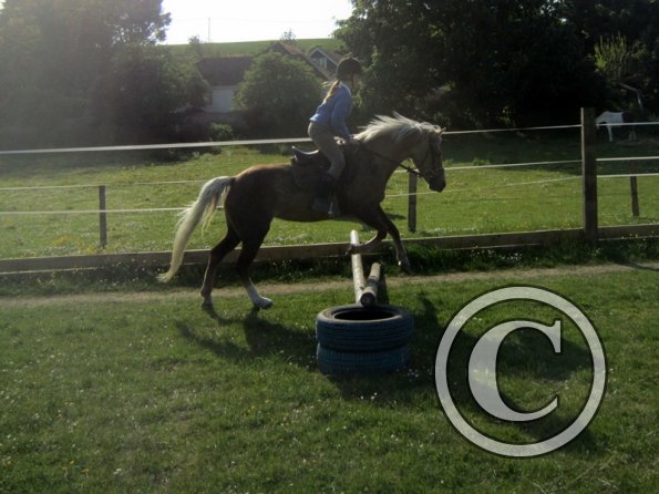 First jump in the new school