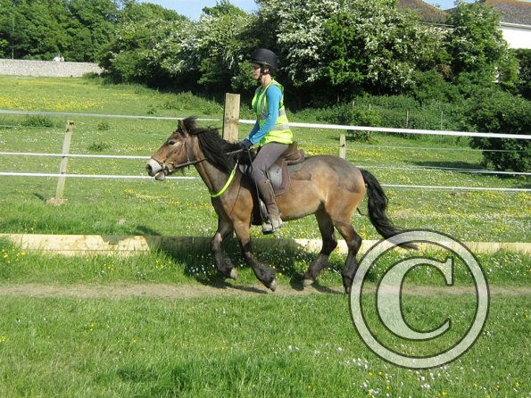 Julia and Appley (2)