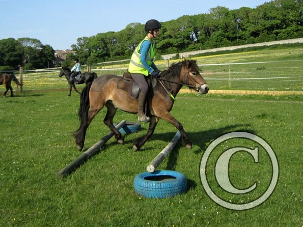 Julia and Appley (8)