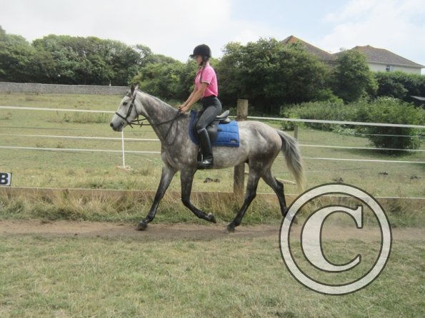 Summer dressage clinic (10)