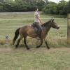 Summer dressage clinic (19)