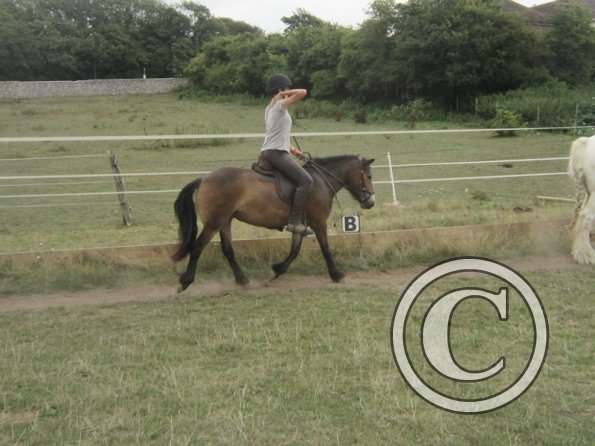 Summer dressage clinic (21)