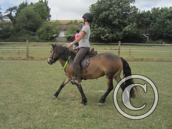 Summer dressage clinic (23)