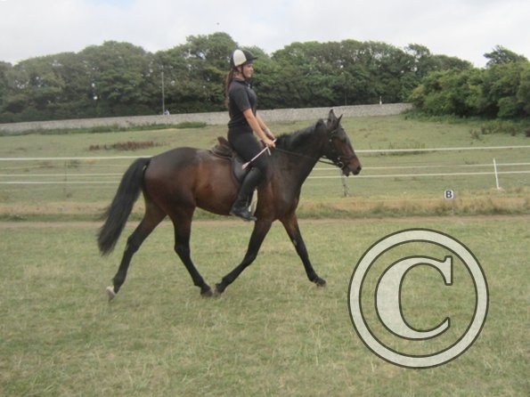 Summer dressage clinic (28)