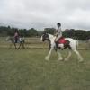 Summer dressage clinic (30)