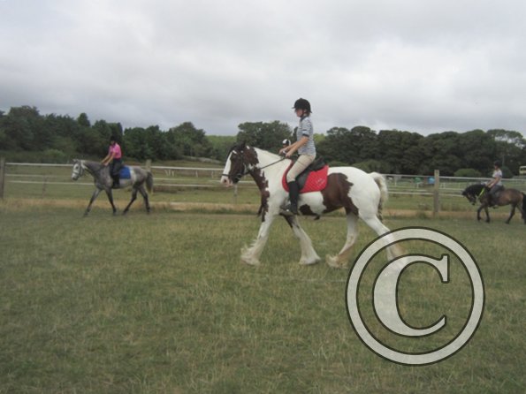 Summer dressage clinic (30)