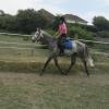 Summer dressage clinic (4)
