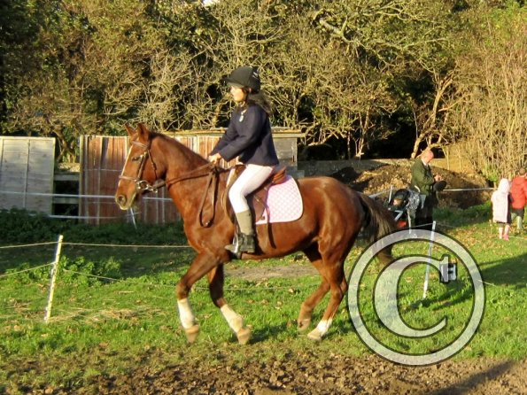 Lauren and Quiz (11)