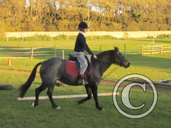 Lily H and Dixie (2)