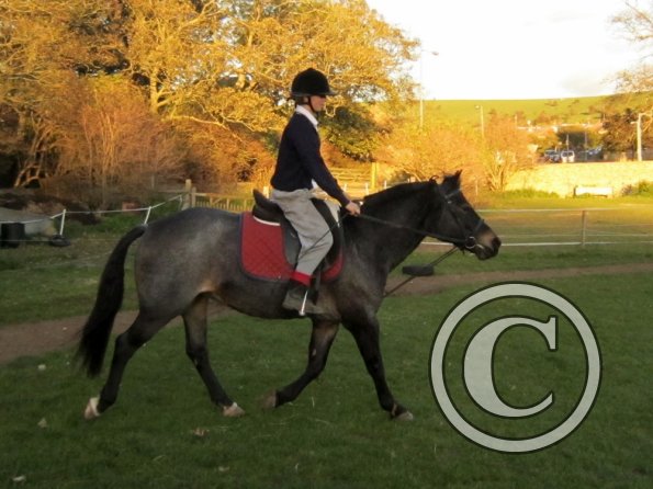 Lily H and Dixie (3)