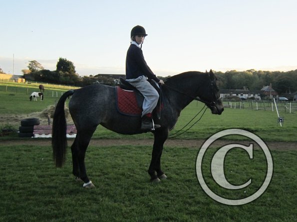 Lily H and Dixie (4)