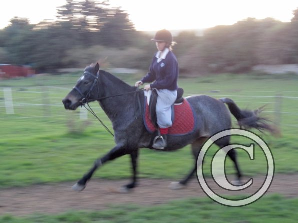 Lily H and Dixie (5)