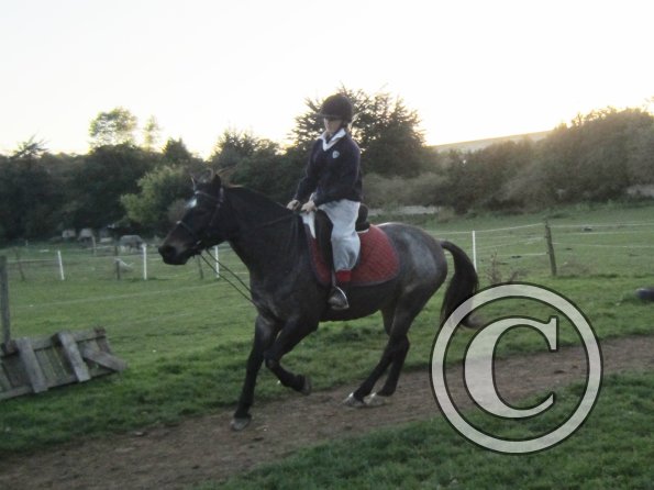 Lily H and Dixie (6)