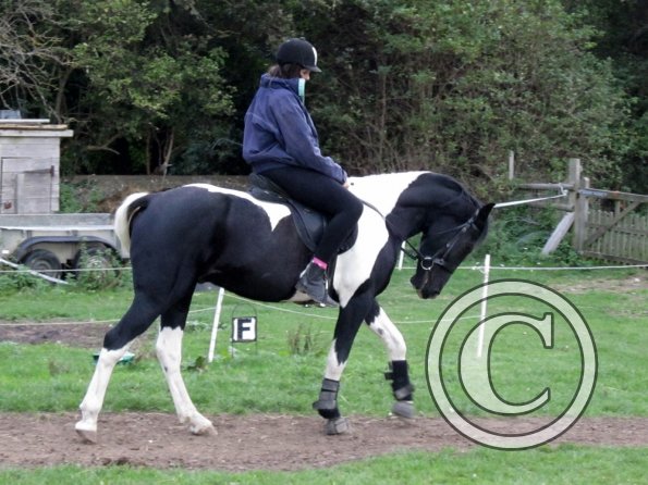 Scarlett and JD (12)