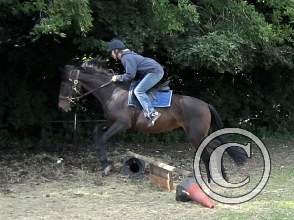 Rihanna and Nikki (3)