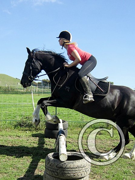 Solomon and Vick (2)