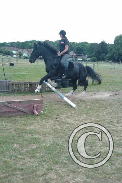 Scarlett and Solly 2