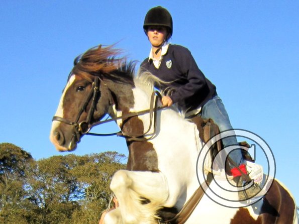 lily-and-lance-jumping-2-