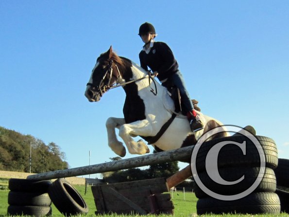 lily-and-lance-jumping-3-