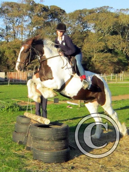 lily-and-lance-jumping-4-