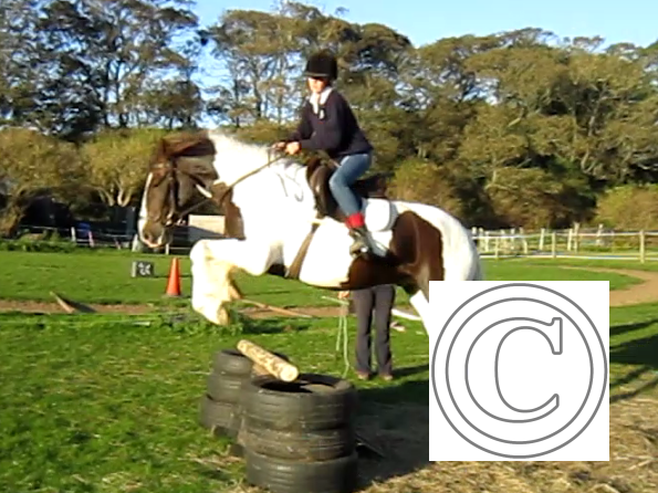 lily-and-lance-still