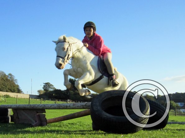 lily-and-moo-jumping