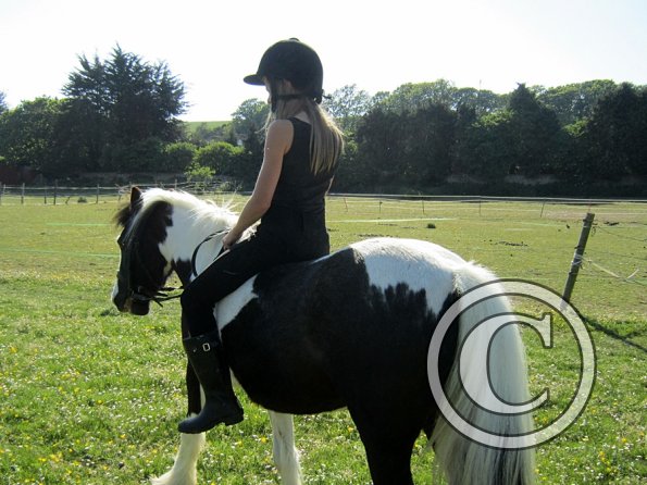 amazing-libby-and-wonderful-willow-10-