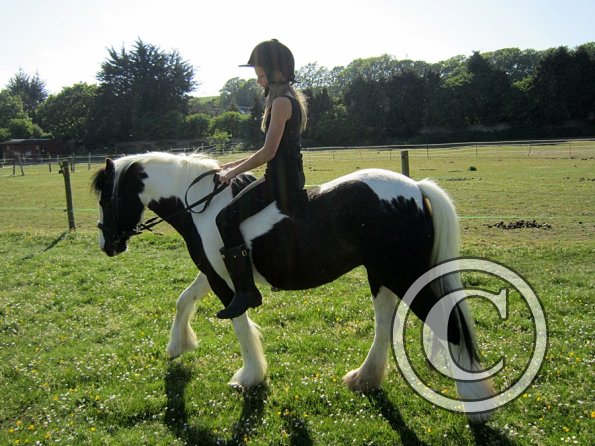 amazing-libby-and-wonderful-willow-11-