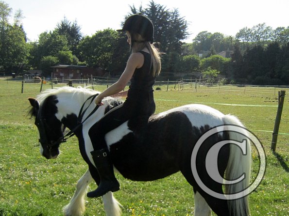 amazing-libby-and-wonderful-willow-12-