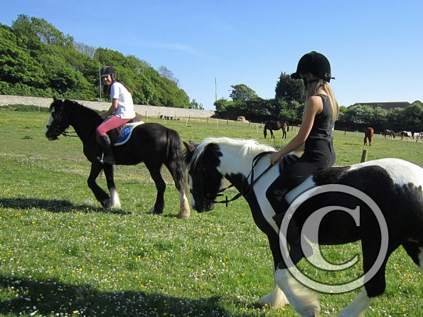 amazing-libby-and-wonderful-willow-13-