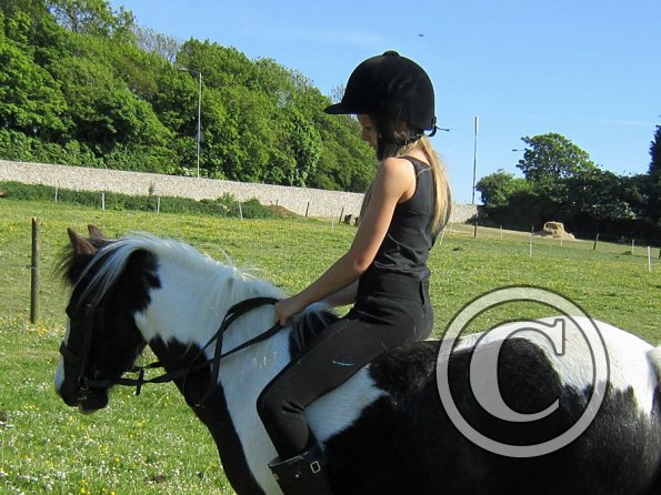 amazing-libby-and-wonderful-willow-14-