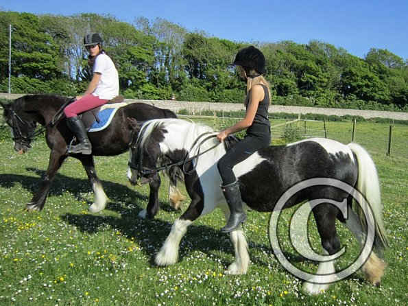 amazing-libby-and-wonderful-willow-15-