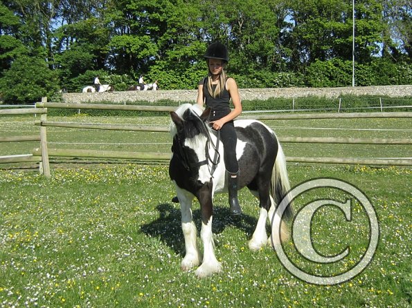 amazing-libby-and-wonderful-willow-16-