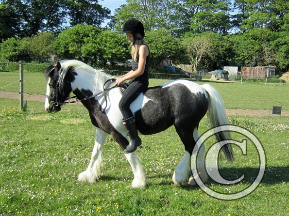 amazing-libby-and-wonderful-willow-17-