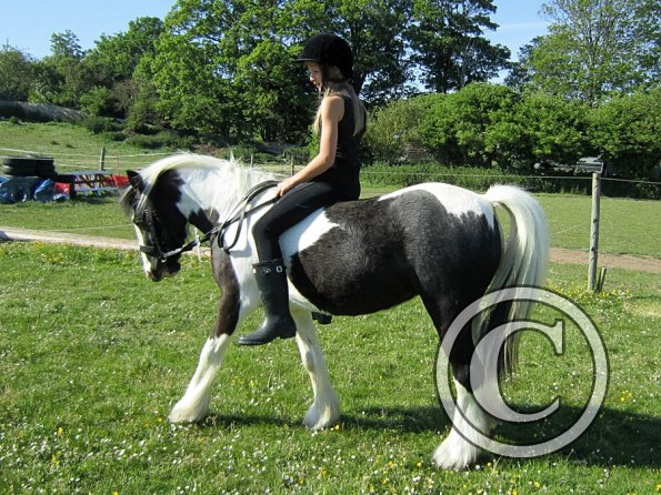 amazing-libby-and-wonderful-willow-18-