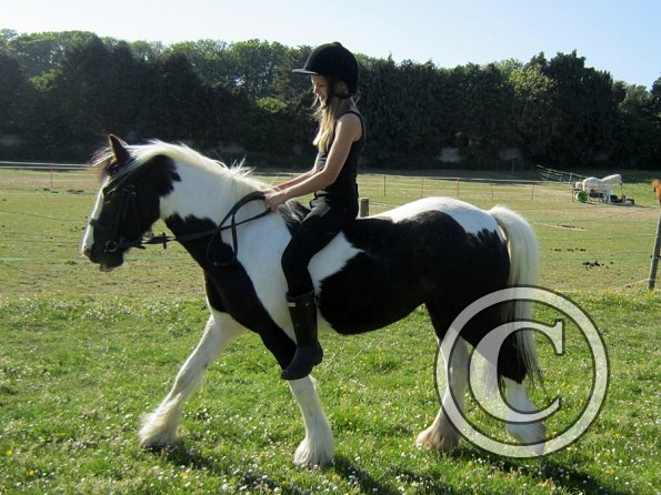 amazing-libby-and-wonderful-willow-19-