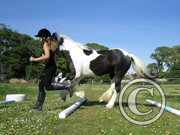 amazing-libby-and-wonderful-willow-2-