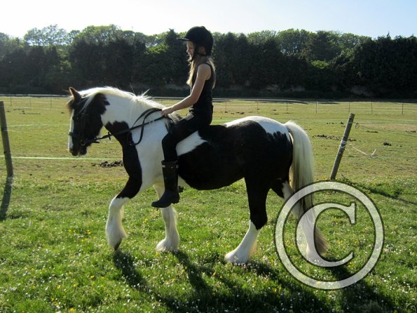 amazing-libby-and-wonderful-willow-20-