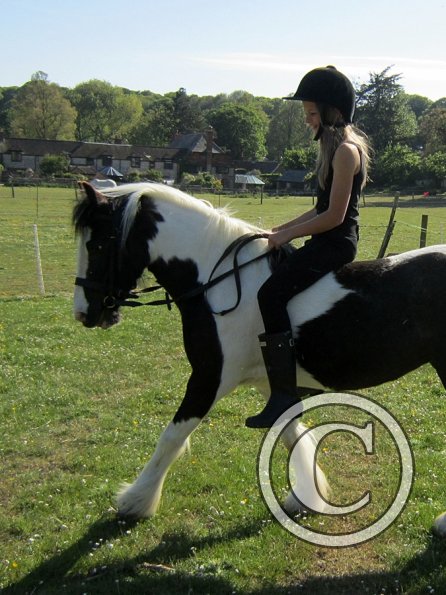 amazing-libby-and-wonderful-willow-22-