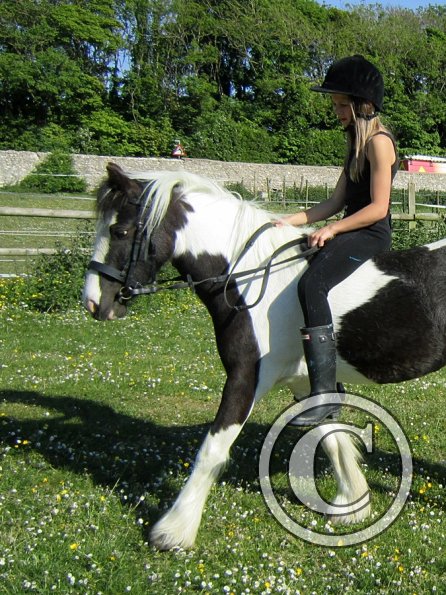 amazing-libby-and-wonderful-willow-23-