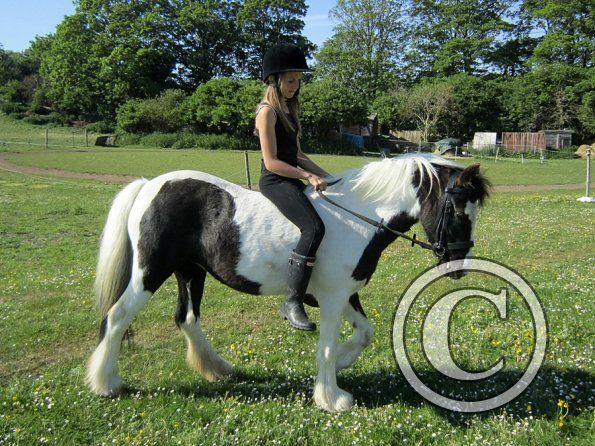 amazing-libby-and-wonderful-willow-25-