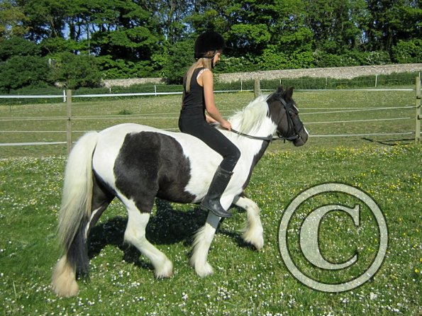 amazing-libby-and-wonderful-willow-27-