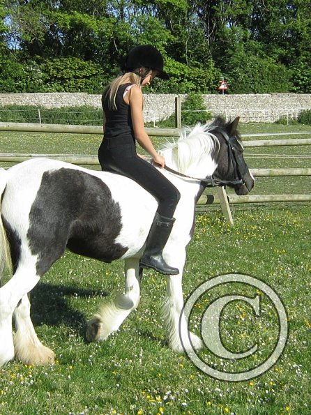 amazing-libby-and-wonderful-willow-28-