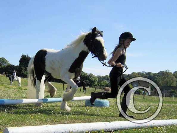 amazing-libby-and-wonderful-willow-3-