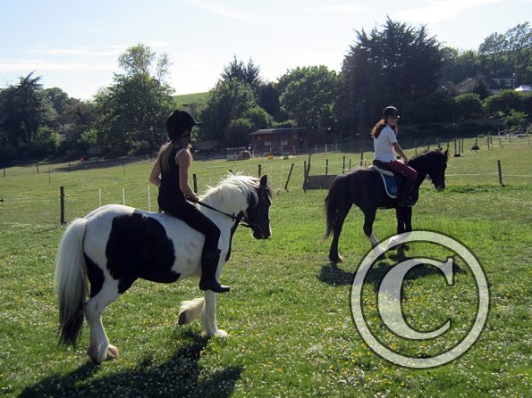 amazing-libby-and-wonderful-willow-30-