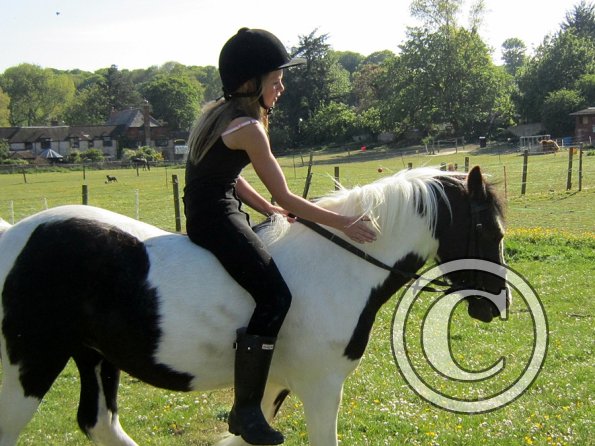 amazing-libby-and-wonderful-willow-31-