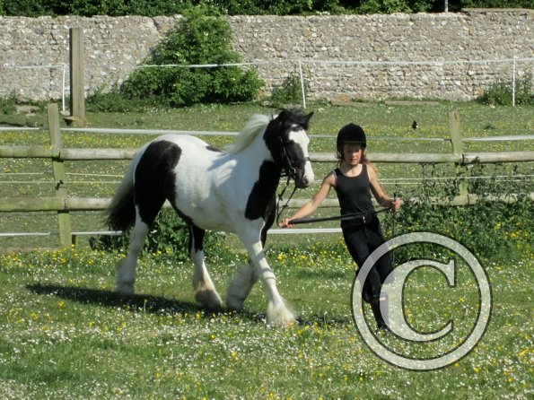 amazing-libby-and-wonderful-willow-4-