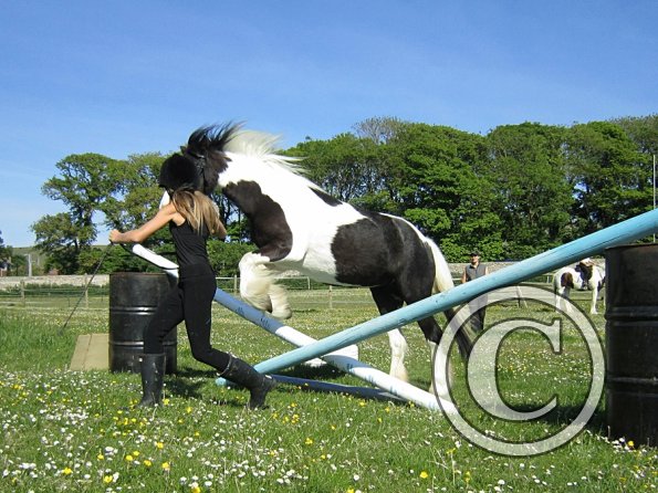 amazing-libby-and-wonderful-willow-6-