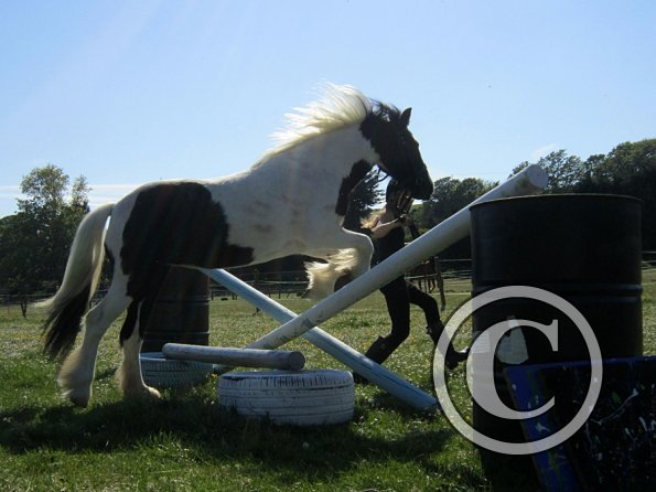 amazing-libby-and-wonderful-willow-7-