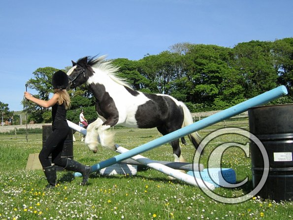 amazing-libby-and-wonderful-willow-8-